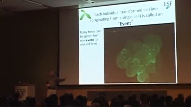 The Return of a King - A New Beginning for the American Chestnut, with Bill Powell смотреть онлайн