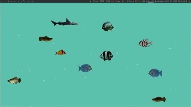Xfishtank, fish swimming across your Root Window смотреть онлайн
