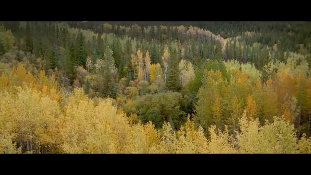 Тайга - песня для детей - клип Собака в тайге - Лансере / Taiga - song for children смотреть онлайн