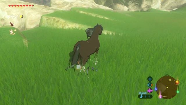FIND LINK'S HORSE | Breath Of The Wild | Zelda BotW | Basement | S3E61