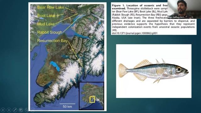 Clase 11. Exposición papers de Selección смотреть онлайн