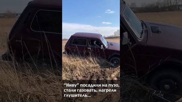 купили ниву и сожгли смотреть онлайн