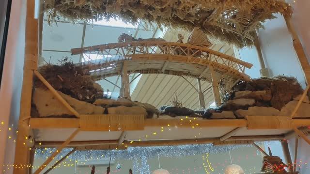 г.Орёл.Поездка по делам___ Прогулка по городу! Оформление витрины булочной.Плетение из соломы! смотреть онлайн