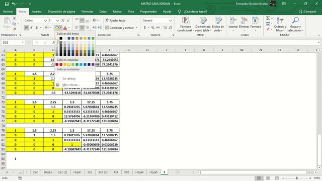 MATRIZ GAUSS JORDAN 5X5 EN EXCEL смотреть онлайн
