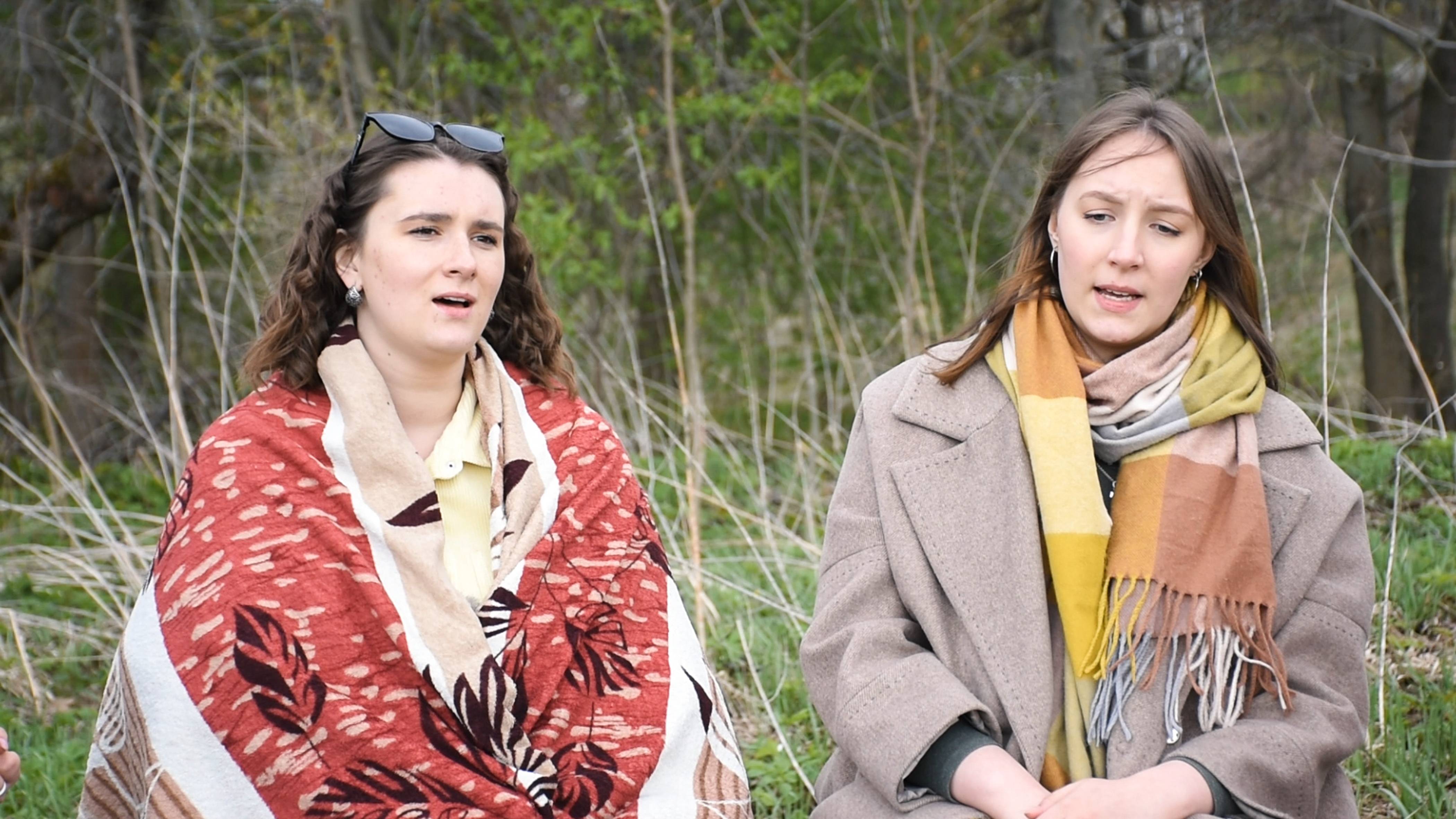 Все соловьюшки по паре