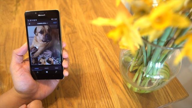 Instagram for Windows 10 Mobile is here! смотреть онлайн