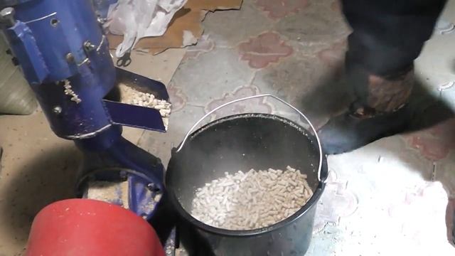 Гранулируем пшеницу без предварительного измельчения (!изменился номер!) смотреть онлайн