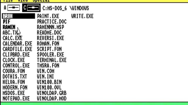 Windows 1.0 BSOD in VMware смотреть онлайн
