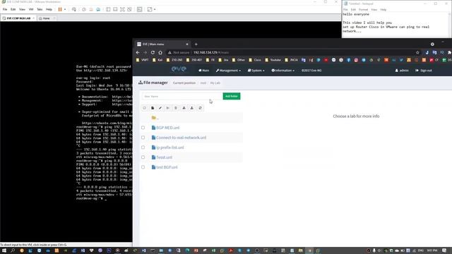 Setup Router Cisco EVE-ng in VMware connet to REAL Network, Cloud 8.8.8.8, Google.com, Facebook.com смотреть онлайн