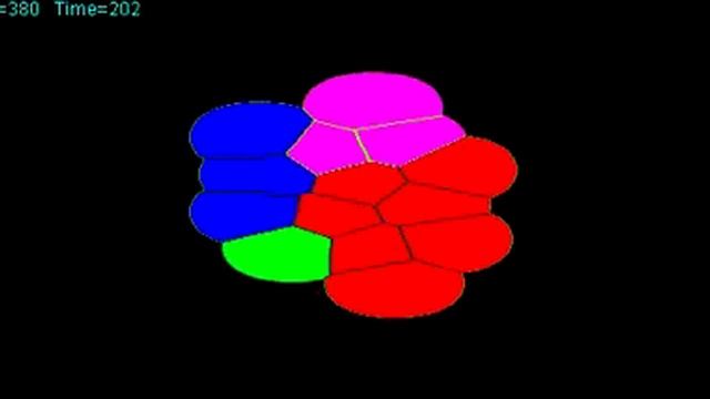 OpenCL with Matrix Studio simulation of a cell tissue growth смотреть онлайн