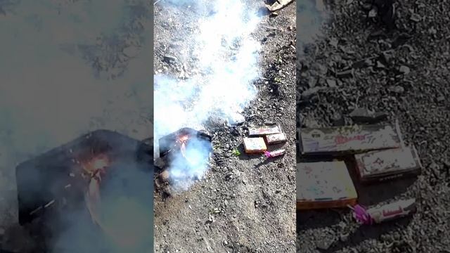 сжег свой кошелек петардой жук смотреть онлайн