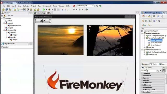 Delphi XE2 and FireMonkey Application on Windows, Mac and iOS смотреть онлайн