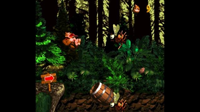 Donkey Kong Country (SNES) / All Warp Barrels Location [Extra#2] [8:7/4K@60] смотреть онлайн