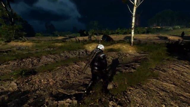 The Witcher 3 - Royal Griffin (NG+ DM, NO QUEN, NO DAMAGE) смотреть онлайн
