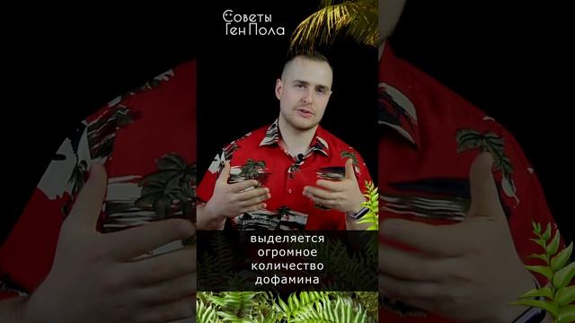 не ори! #shorts #агрессия #спокойствие #психология #спокойствие