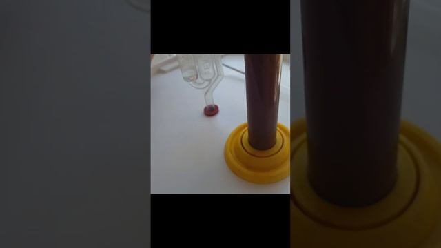 темное пиво с апельсиновым ароматом