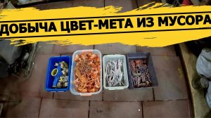 ДОБЫЧА ЦВЕТ-МЕТА ИЗ МУСОРА! СЧЁТЧИКИ-ИНСТРУМЕНТЫ!ДЕНЬГИ ИЗ МУСОРА!ЗАРАБОТАТЬ С ПОМОЕК РОССИИ