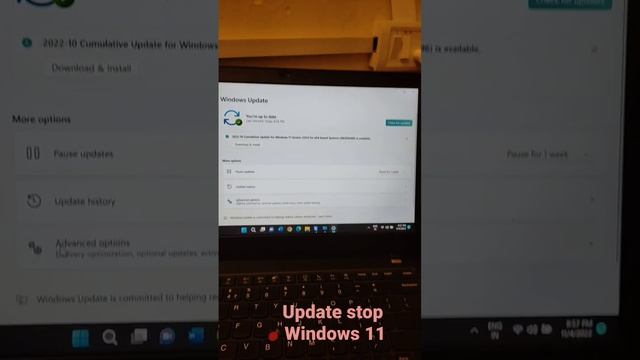How to stop update in windows 11 смотреть онлайн