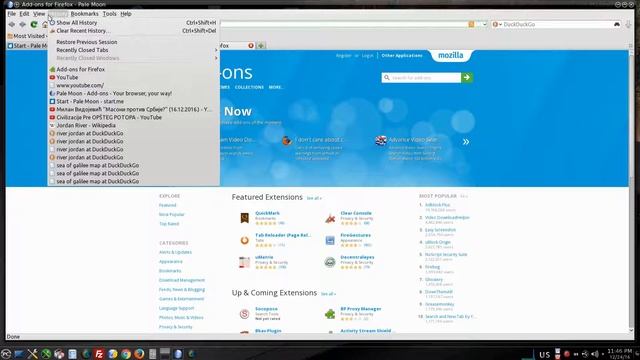 Pale Moon browser for Linux, good alternative to Chrome and Firefox смотреть онлайн