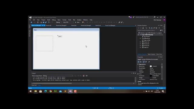 Visual Studio - PictureBox, ComboBox & MDI