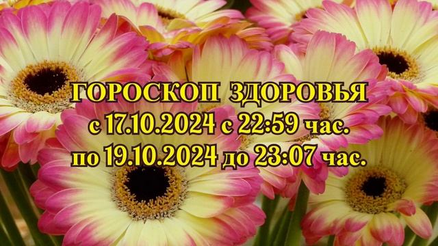 "ГОРОСКОП ЗДОРОВЬЯ с 17 по 19 ОКТЯБРЯ 2024 года!!!" смотреть онлайн