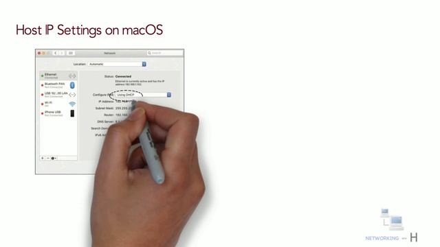 Host IP parameters | settings | windows | mac | linux | free ccna 200-301 смотреть онлайн
