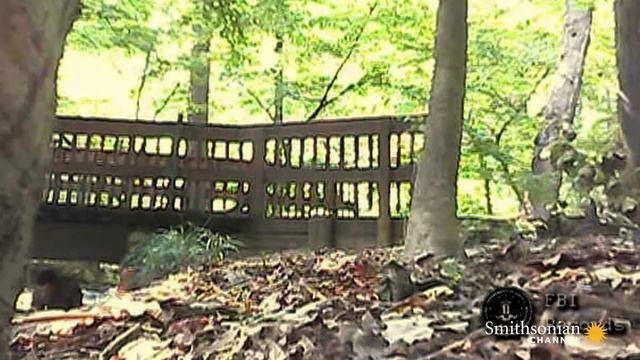 The FBI Investigates Soviet Deep-Cover Spies in America смотреть онлайн