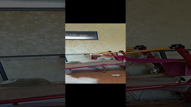 каманды умки. смотреть онлайн