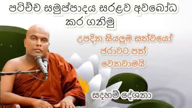 පටිච්ච සමුප්පාදය ඔබට අවබෝධ කර ගැනීමට හැකිවන ආකාරයෙන් | Ven Galigamuwe Gnanadeepa Thero смотреть онлайн