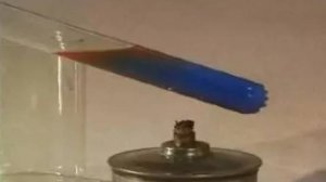 Органическая химия. Обнаружение глюкозы в виноградном соке и меде