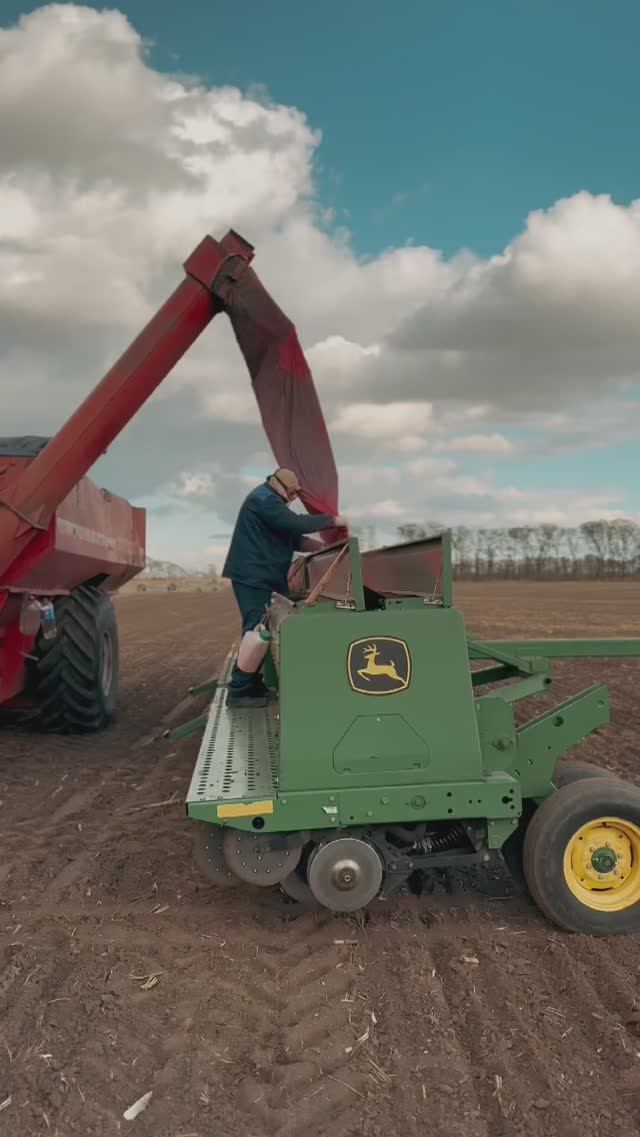 Сев зерновых! Сезон 2024! Какими будут всходы!? #agriculture #жизньагрономанедома #farming #поля