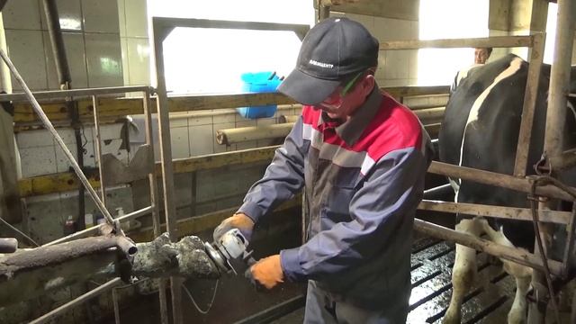 Новости на башкирском языке от 10.10.2024 г. г.Янаул смотреть онлайн