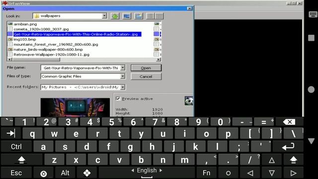 How To Change Wallpaper In ExaGear With Irfanview смотреть онлайн