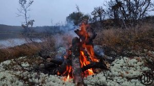 Драконесса. Часть первая. Переход.