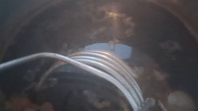 Простое пиво варим дома карамельно-бархатное