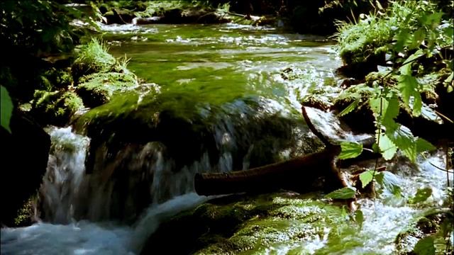 Windows DreamScene Movie 3 смотреть онлайн