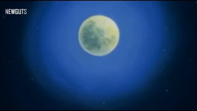 Jack Hammer Tribute смотреть онлайн