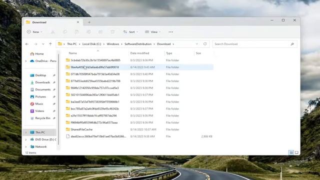 How to Delete Windows 11 Update Downloaded File смотреть онлайн