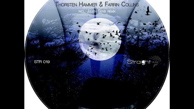 Farrin Collins & Thorsten Hammer - Bananablues (JULIEN SENS REMIX) смотреть онлайн