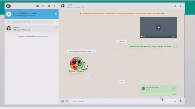 How to Send Large Video on WhatsApp | 3 Easy Ways 2024 смотреть онлайн