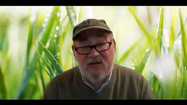 The Flourishing Path with John Liu смотреть онлайн