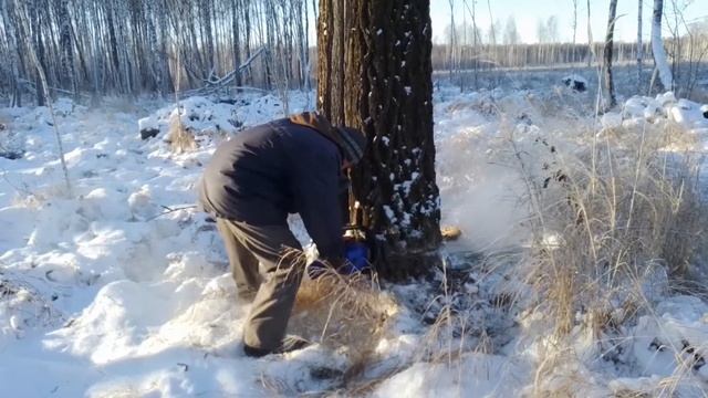 Как мы дрова на зиму готовим.... День пятый. (почти заключительный) 3 ноября 2021. смотреть онлайн