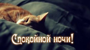 Спокойной ночи картинки - Пожелание доброй ночи #спокойнойночи #добройночи #спокойночисладкихснов