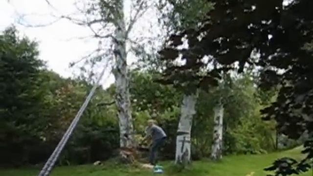 2 guys 1 chainsaw and a tree смотреть онлайн