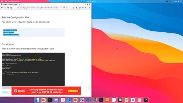 How To Install Dracula Thema In VIM