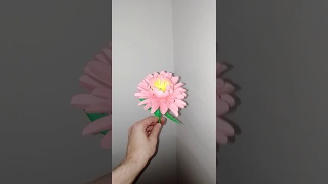 Красивая астра. Trixtor - Just This Once [Electronic] Loop смотреть онлайн