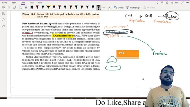 Biotechnology And Its Application Class 12 смотреть онлайн
