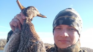 Охота на утку с подхода. Осенняя охота 2024