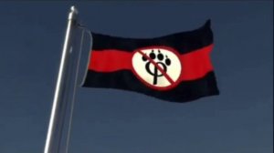 музыка анти фурри