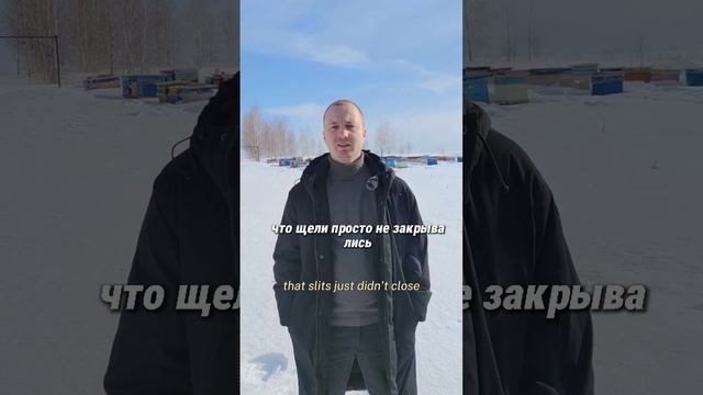 #ЯПчеловод Иван Кабанов. Пасека в Каширском районе МО. Опыт с 2010. Породы: Карника и Бакфаст. смотреть онлайн